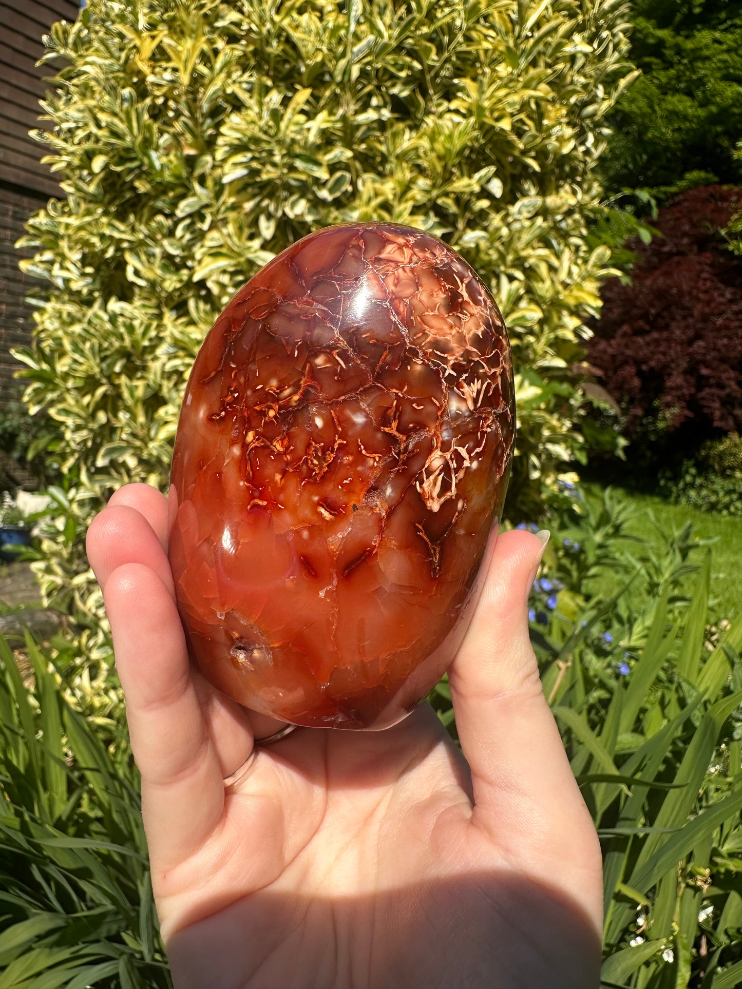 Carnelian Freeform A