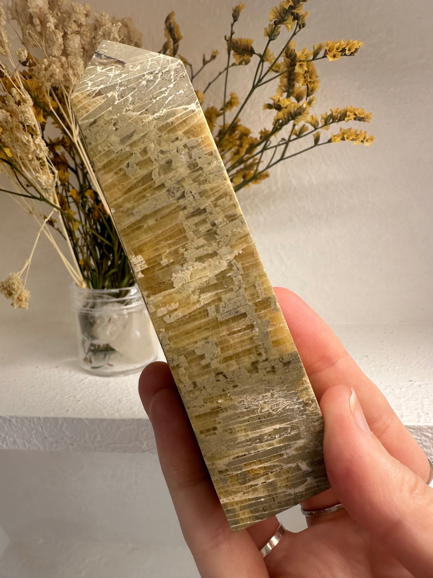 Fossilised Coral Tower