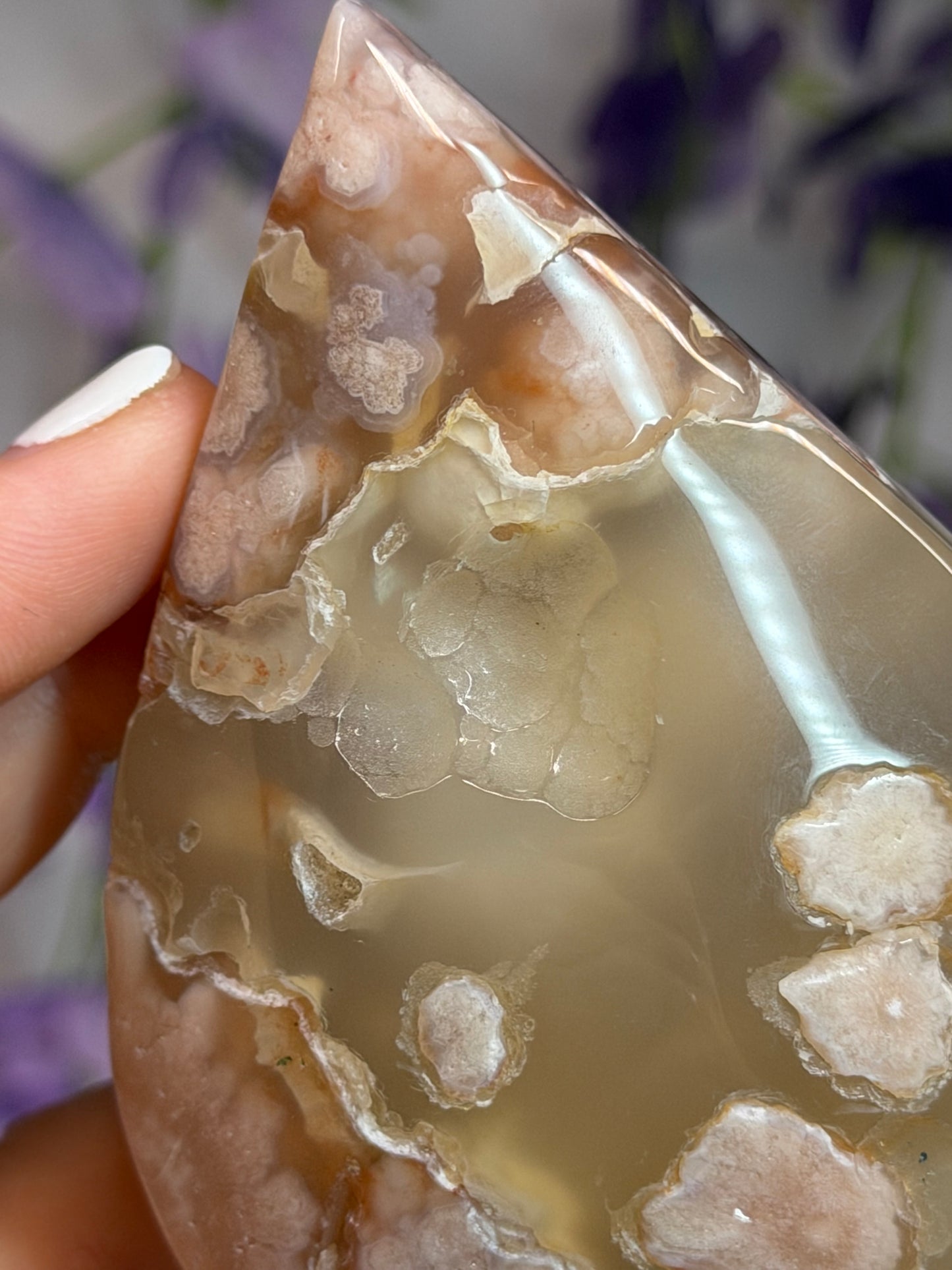 Flower Agate Shield