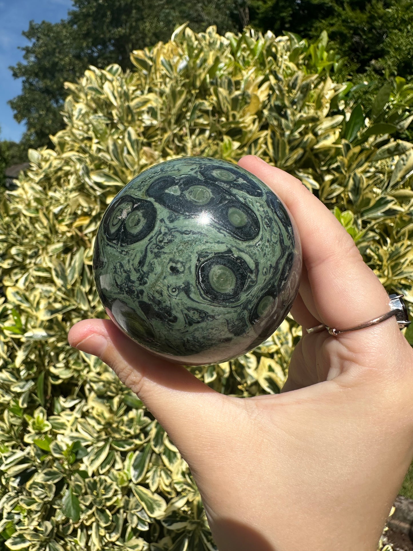 Kambaba Jasper Spheres