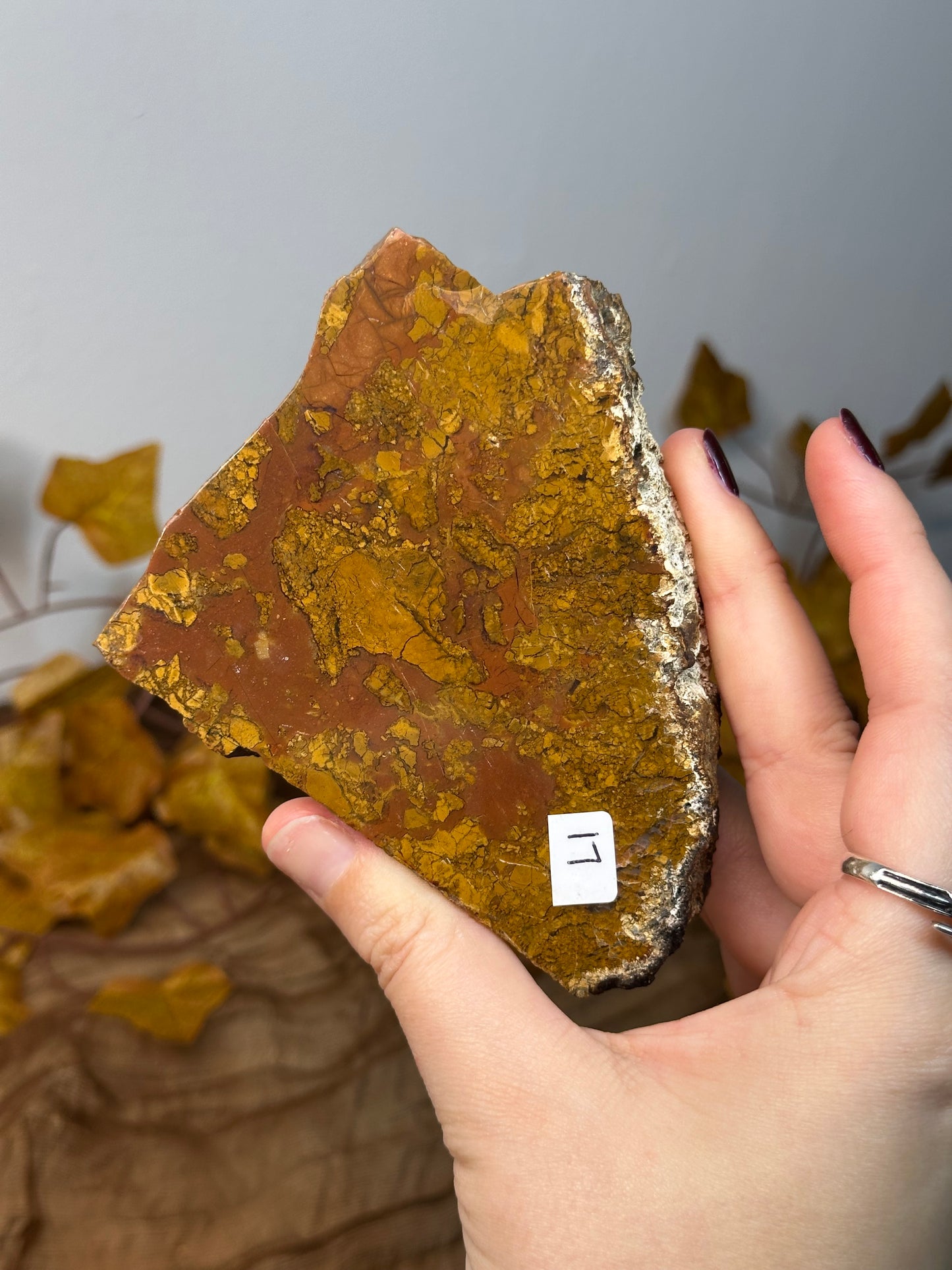 Brecciated Jasper Slab