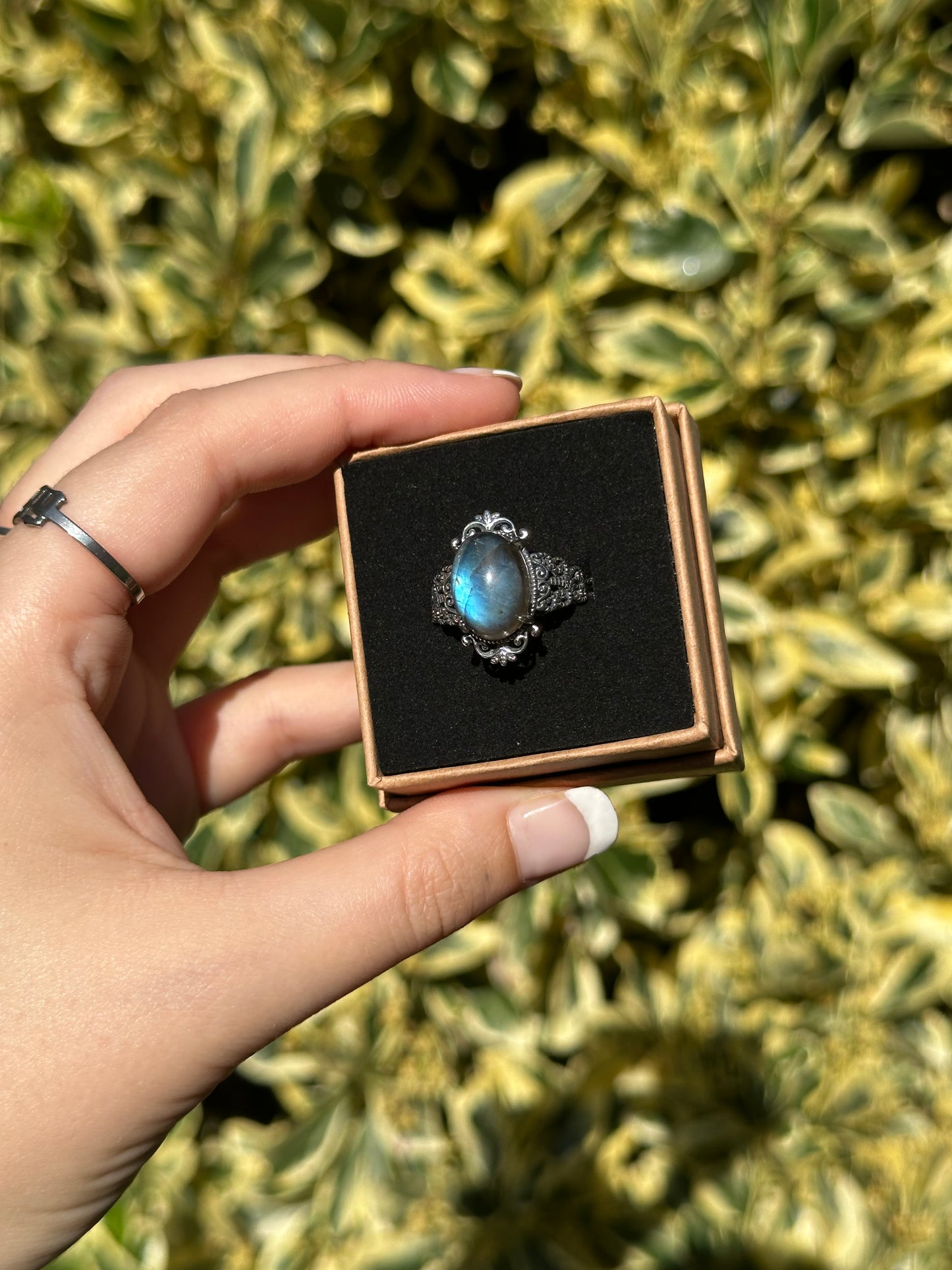 Adjustable Labradorite Ring B (925 Sterling silver)