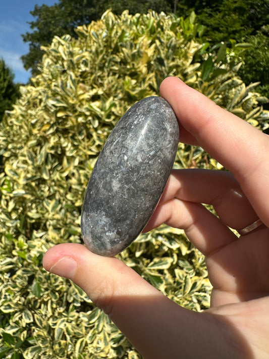 Blue Plume Agate Shivas