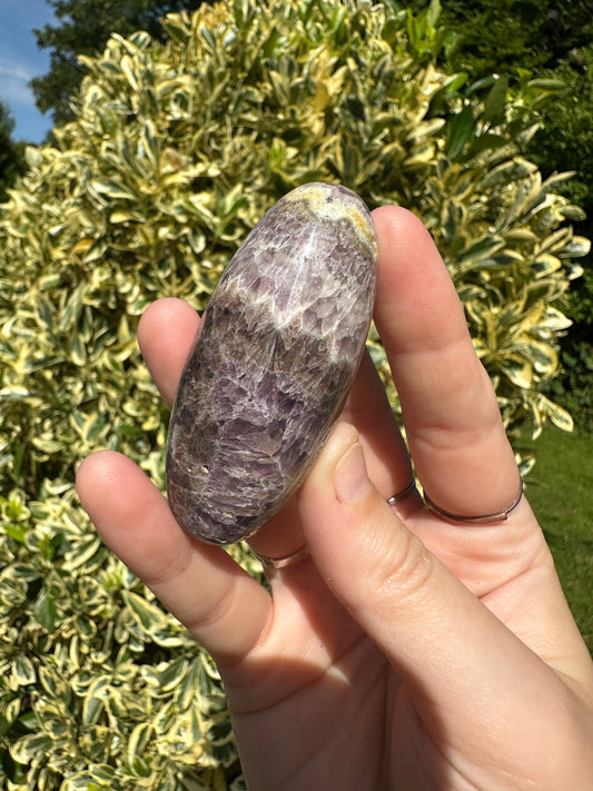 Amethyst Shivas