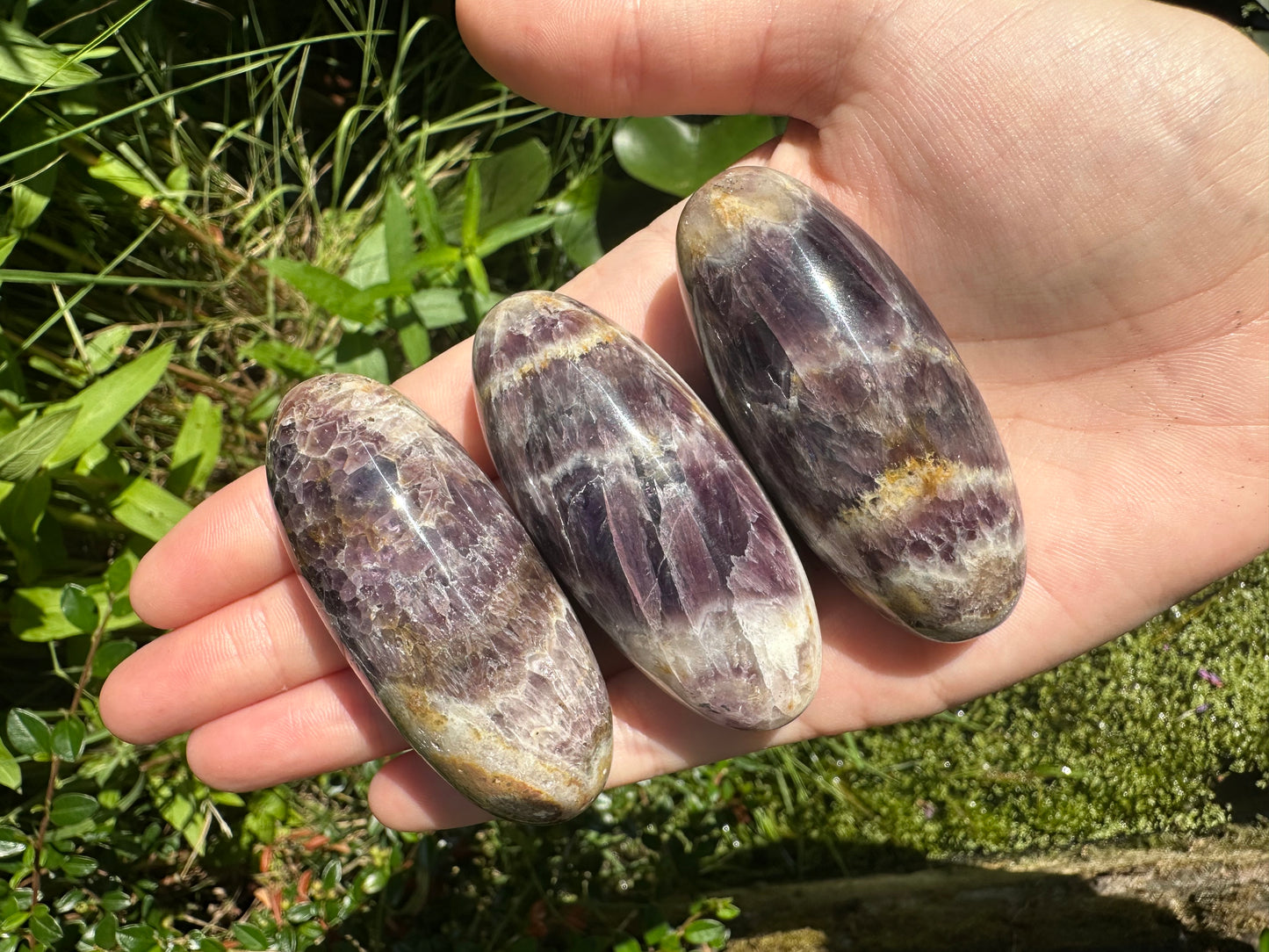 Amethyst Shivas