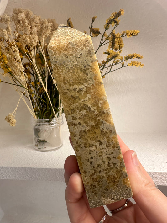 Fossilised Coral Tower