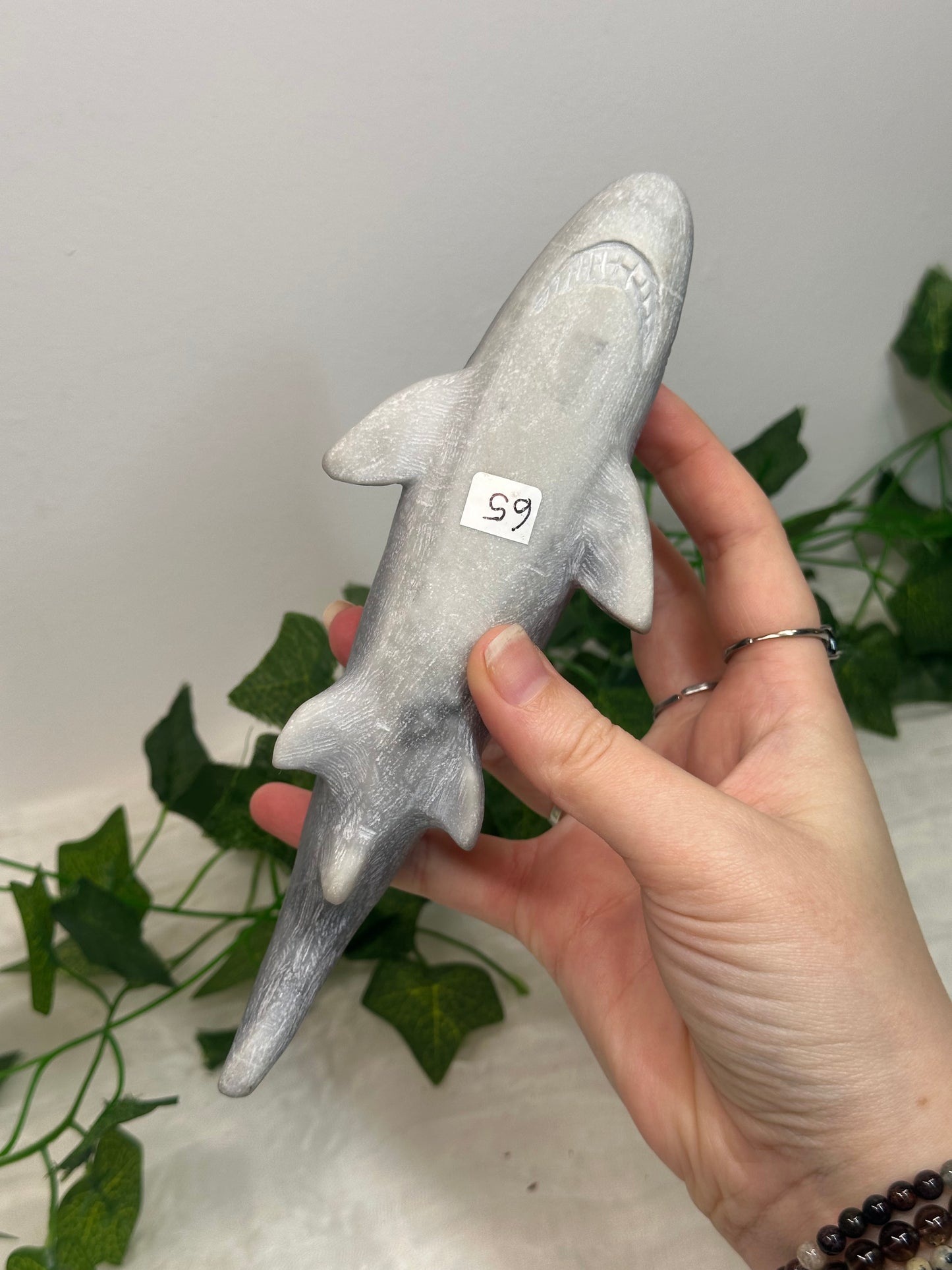 Taiji Jade Shark