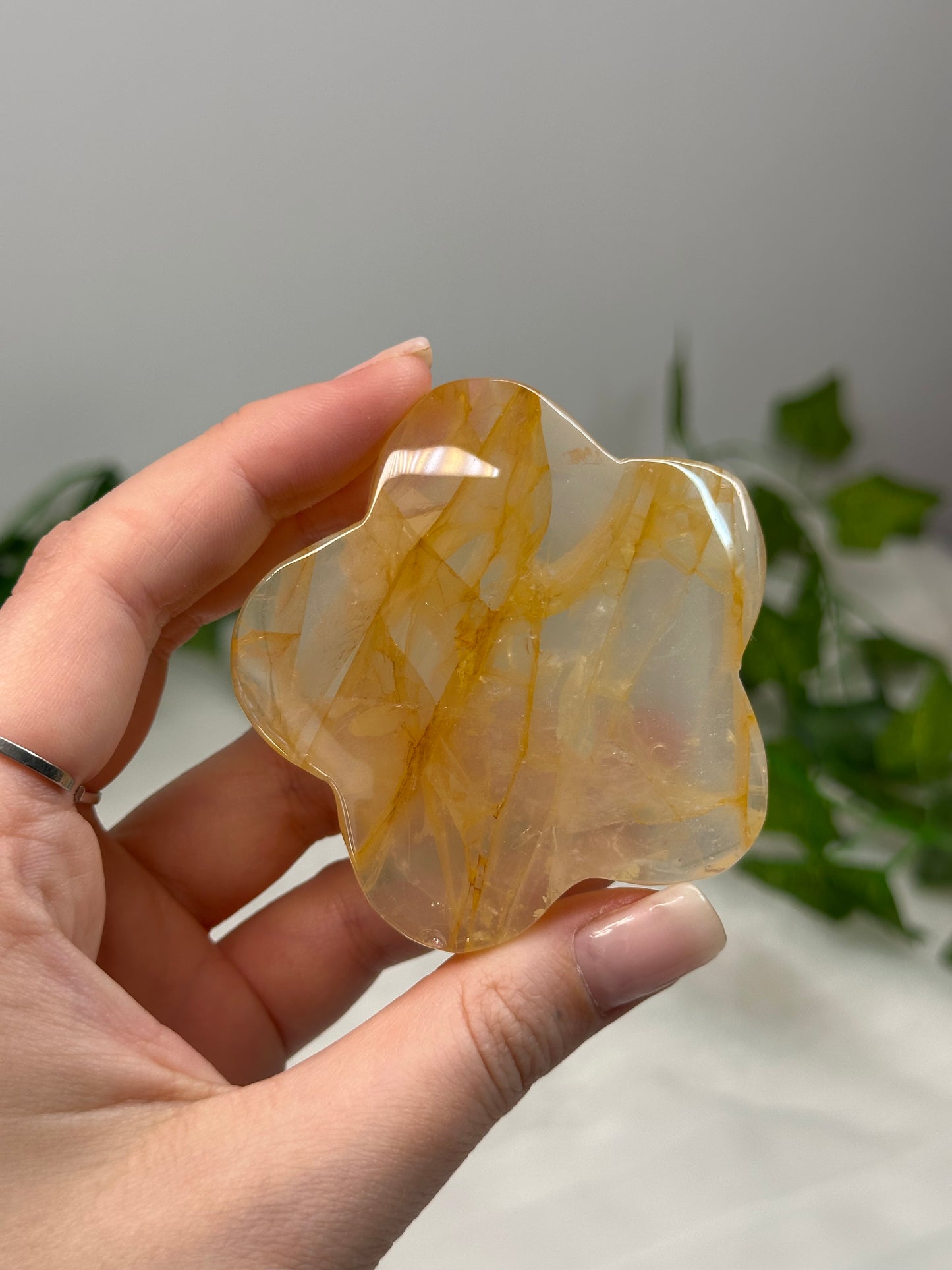 Golden Healer Flower