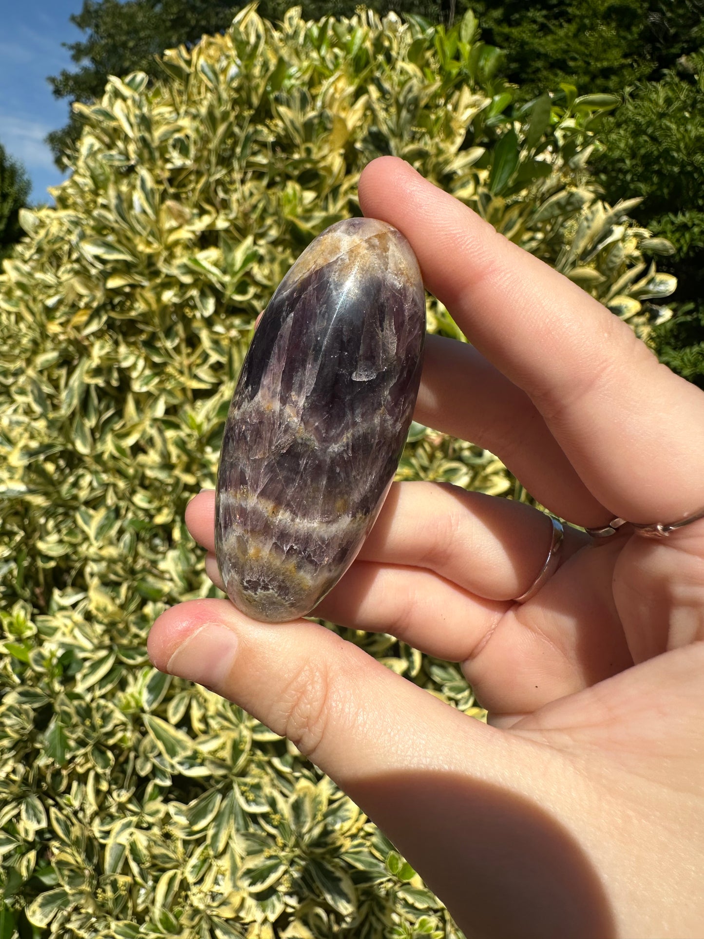 Amethyst Shivas
