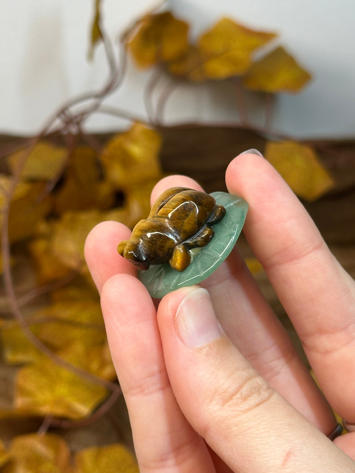 Tiger Eye Bug on Green Aventurine Leaf
