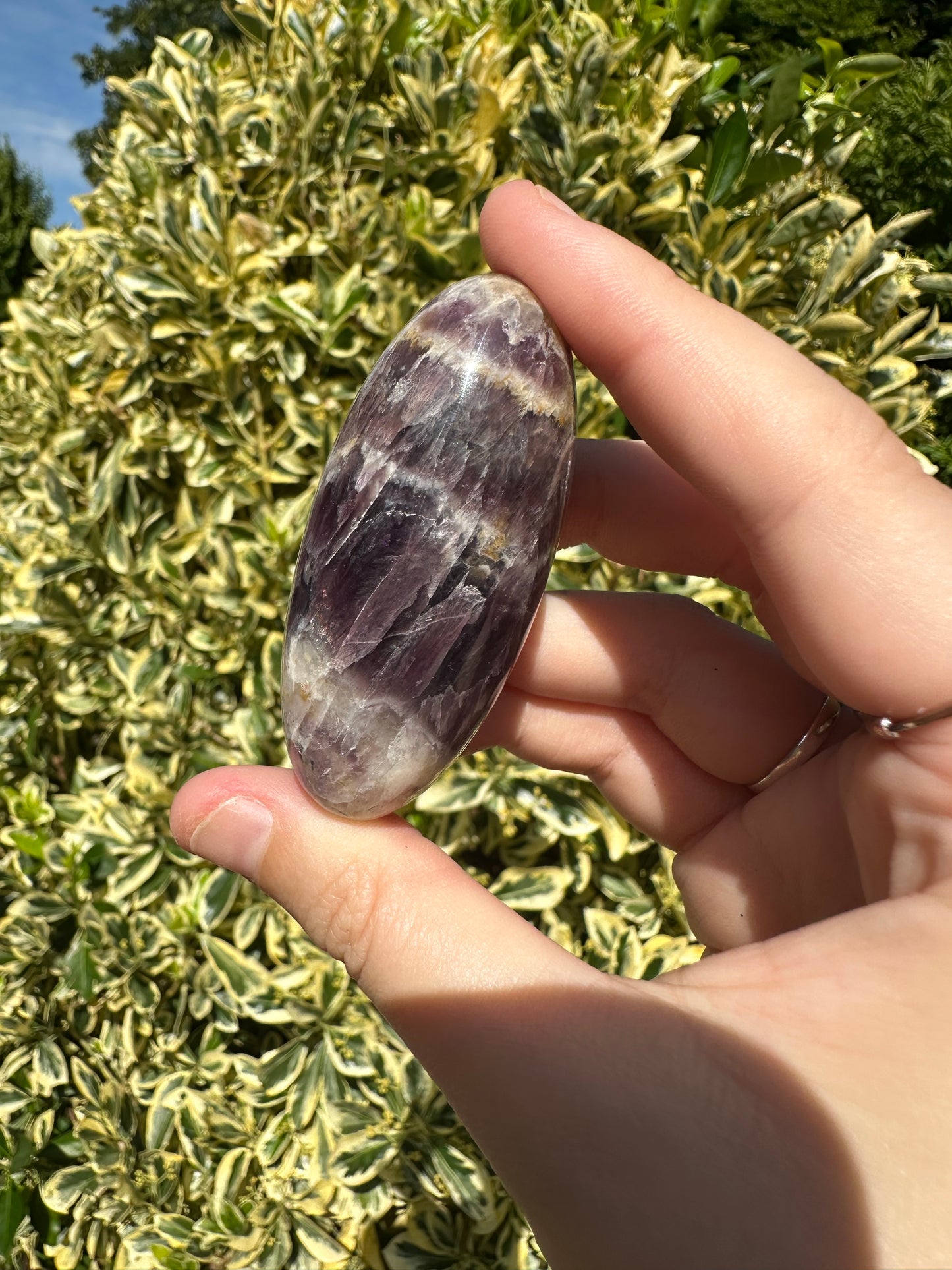 Amethyst Shivas