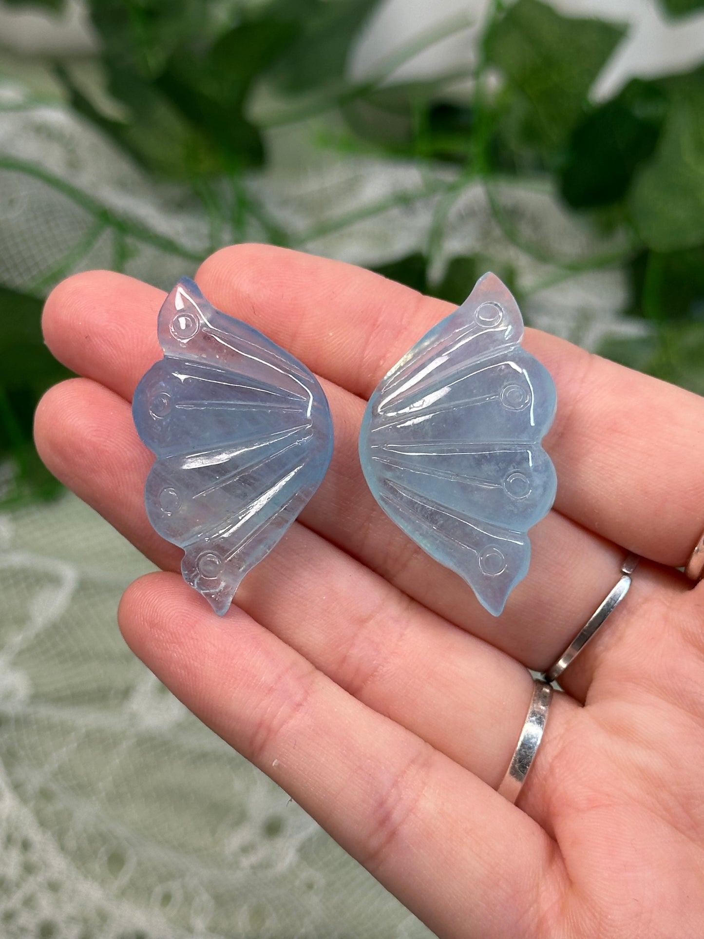 Aquamarine Butterfly Wings