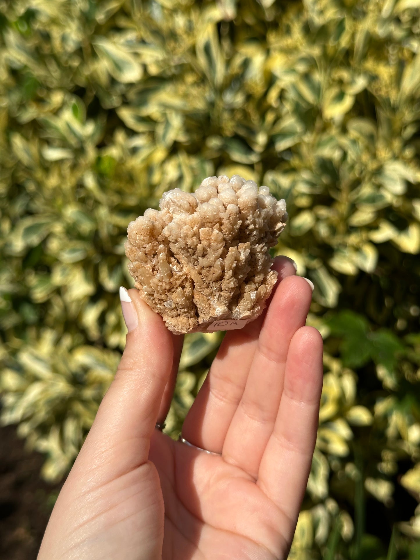 Small Cave Aragonite Specimen