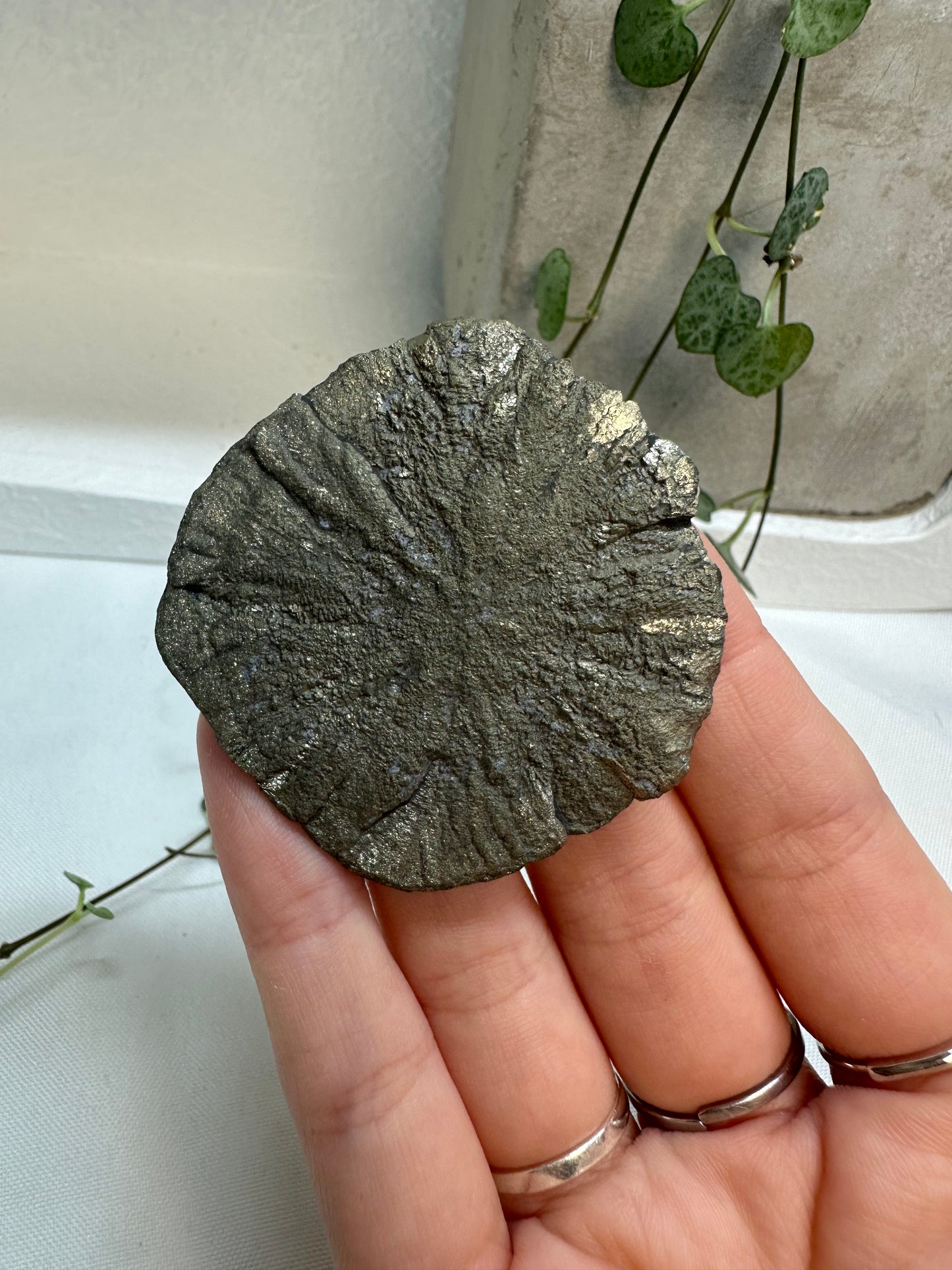 Pyrite Suns