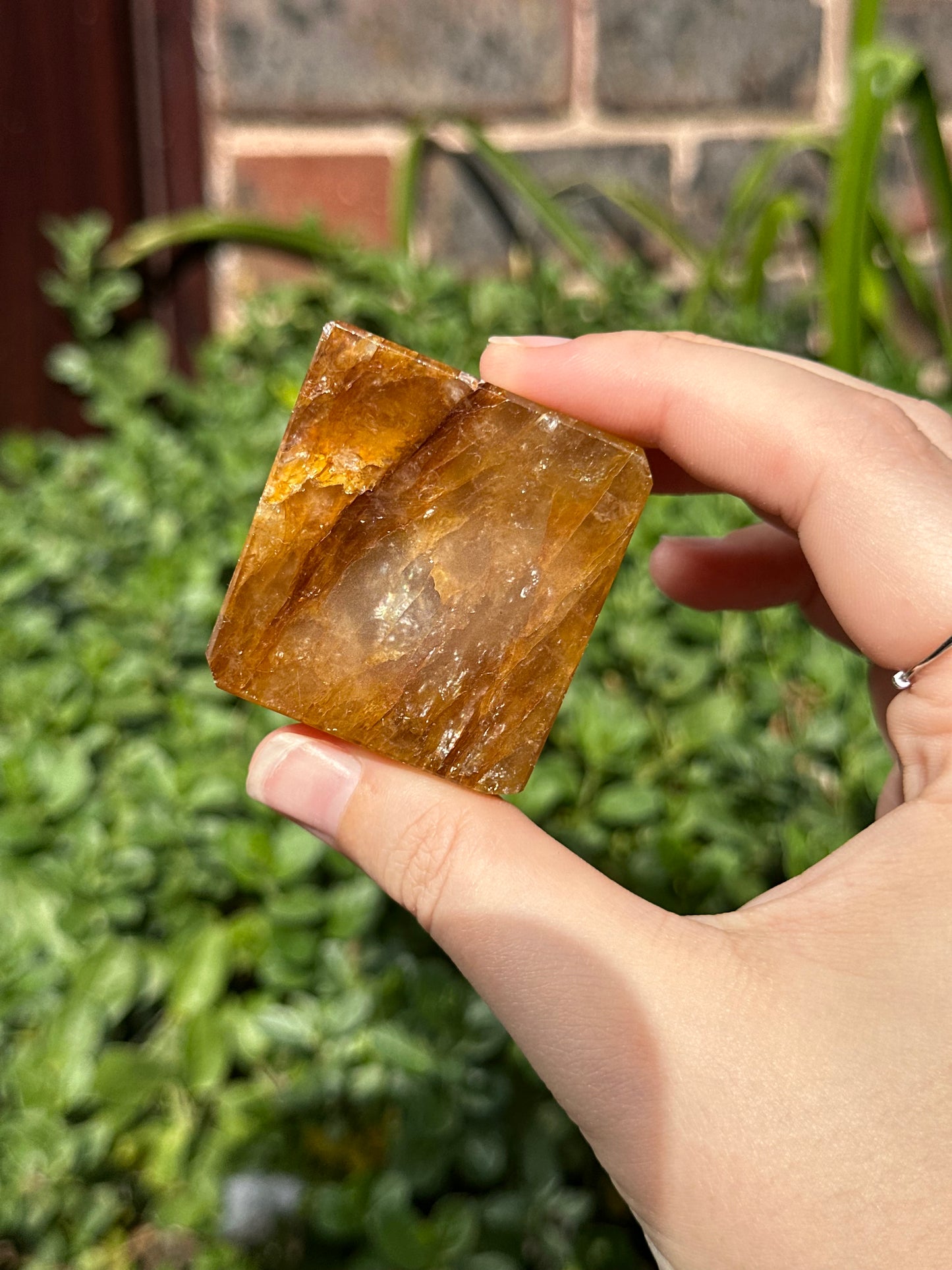 Golden Healer Freeform