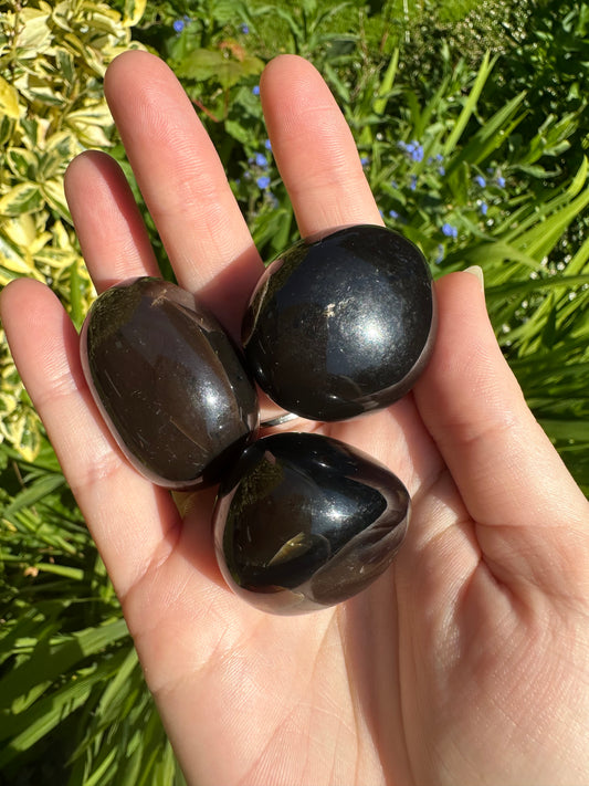 Large Indonesian Amber Tumble