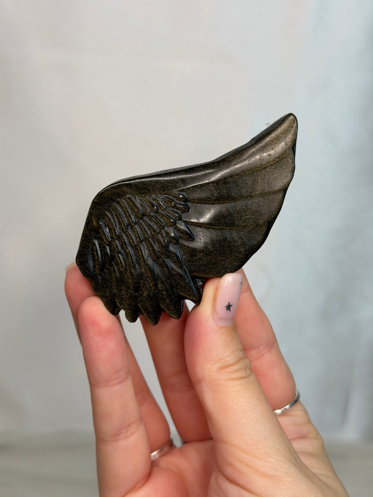 Gold Sheen Obsidian Wing
