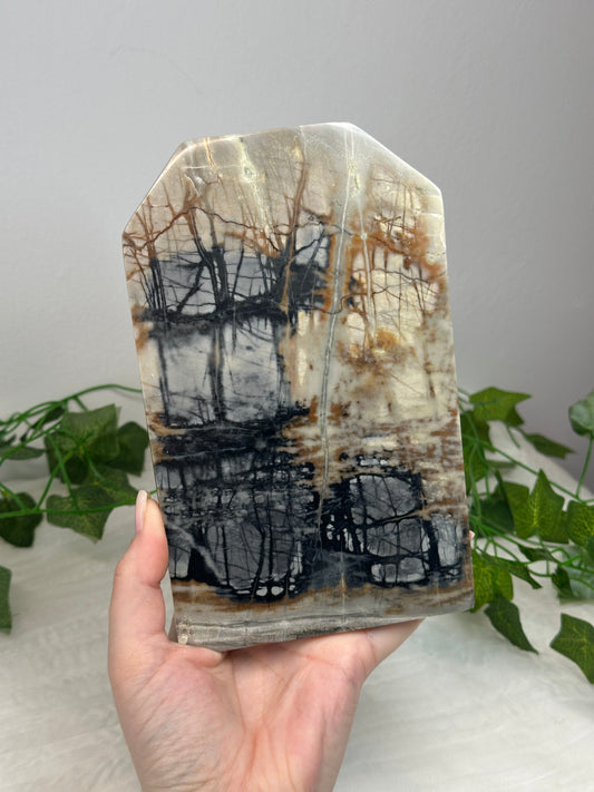 Picasso Jasper Slab