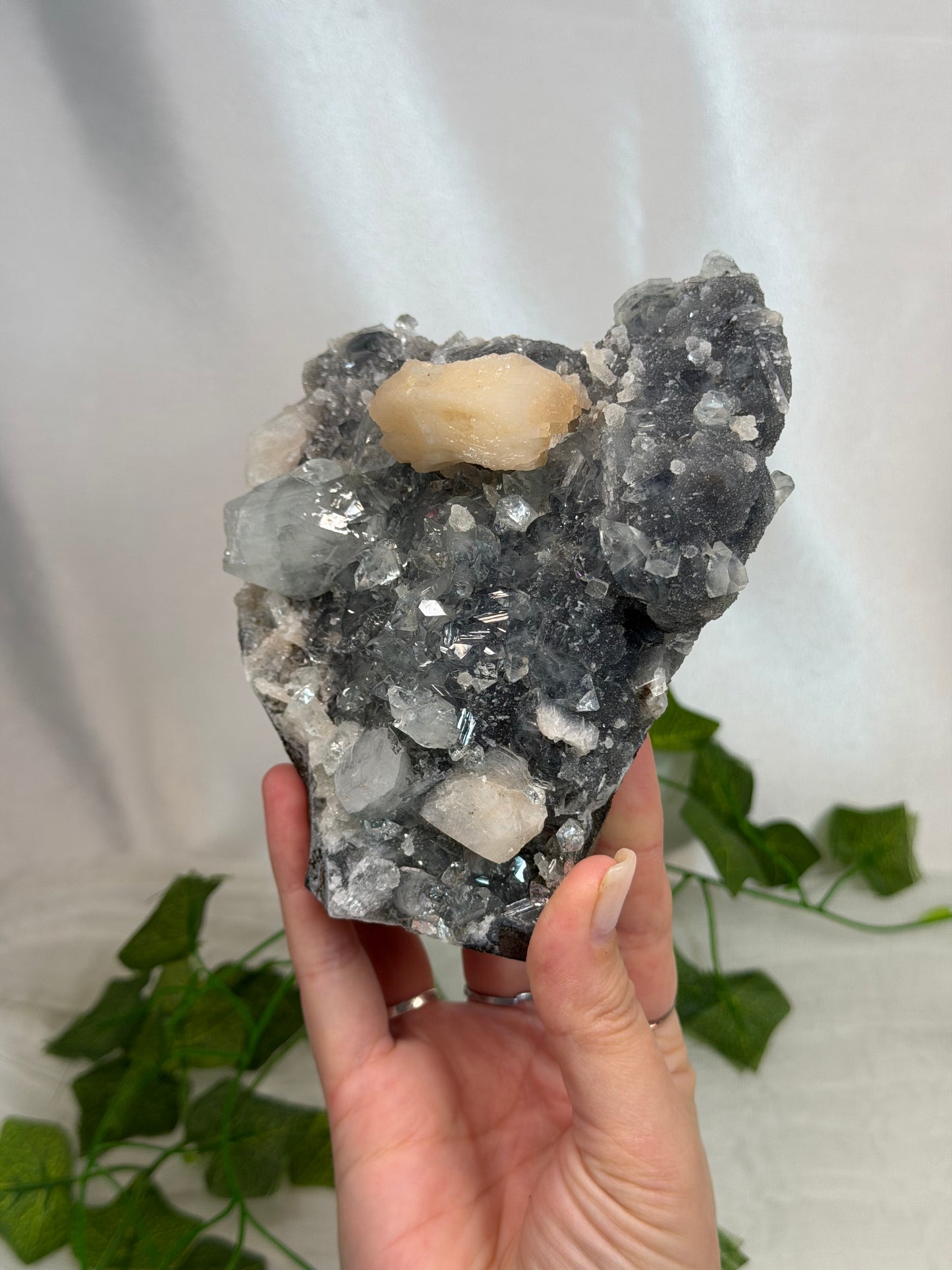 Apophyllite & Stilbite on Black Chalcedony Cutbase