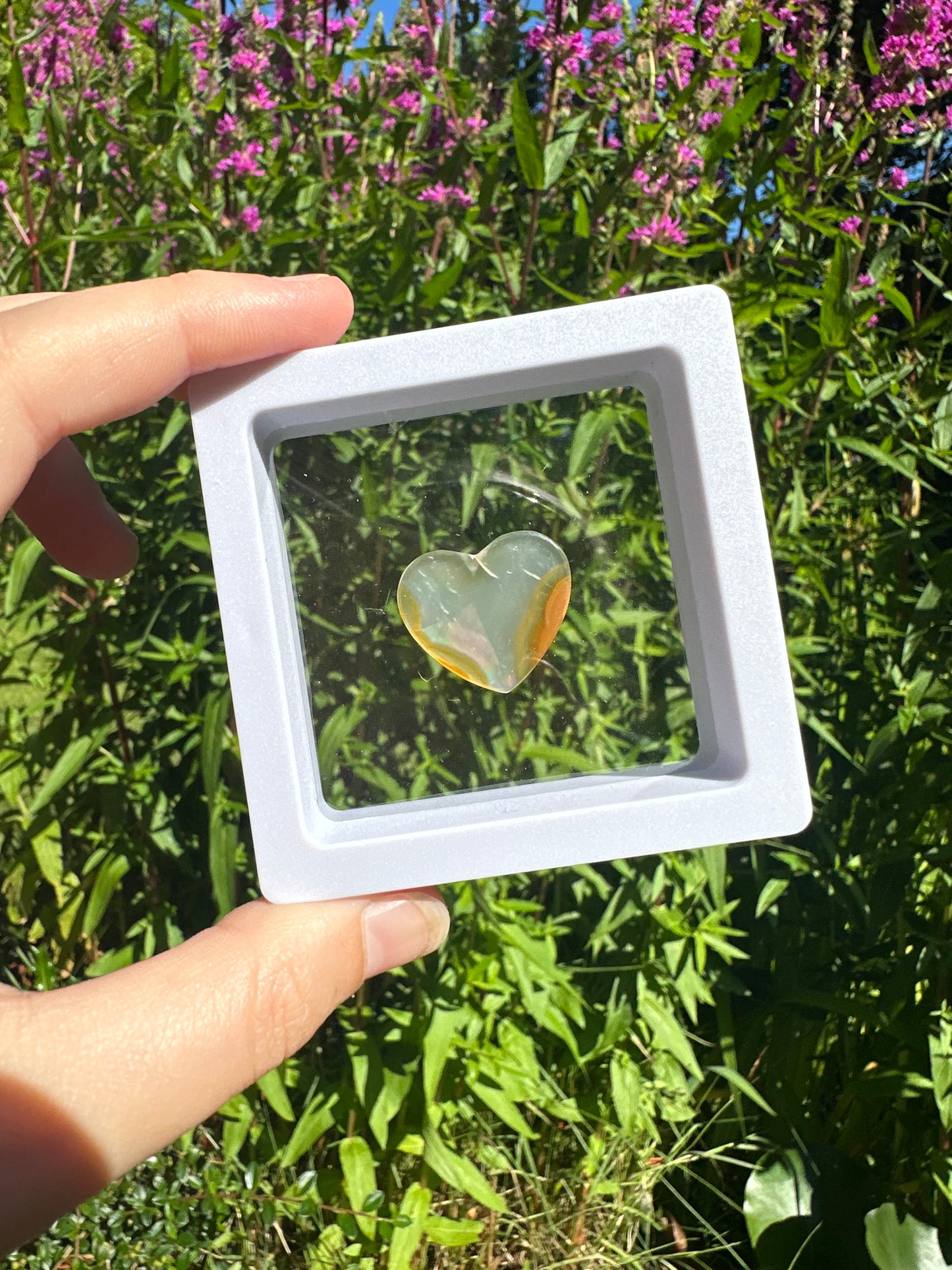 Iris Agate Hearts