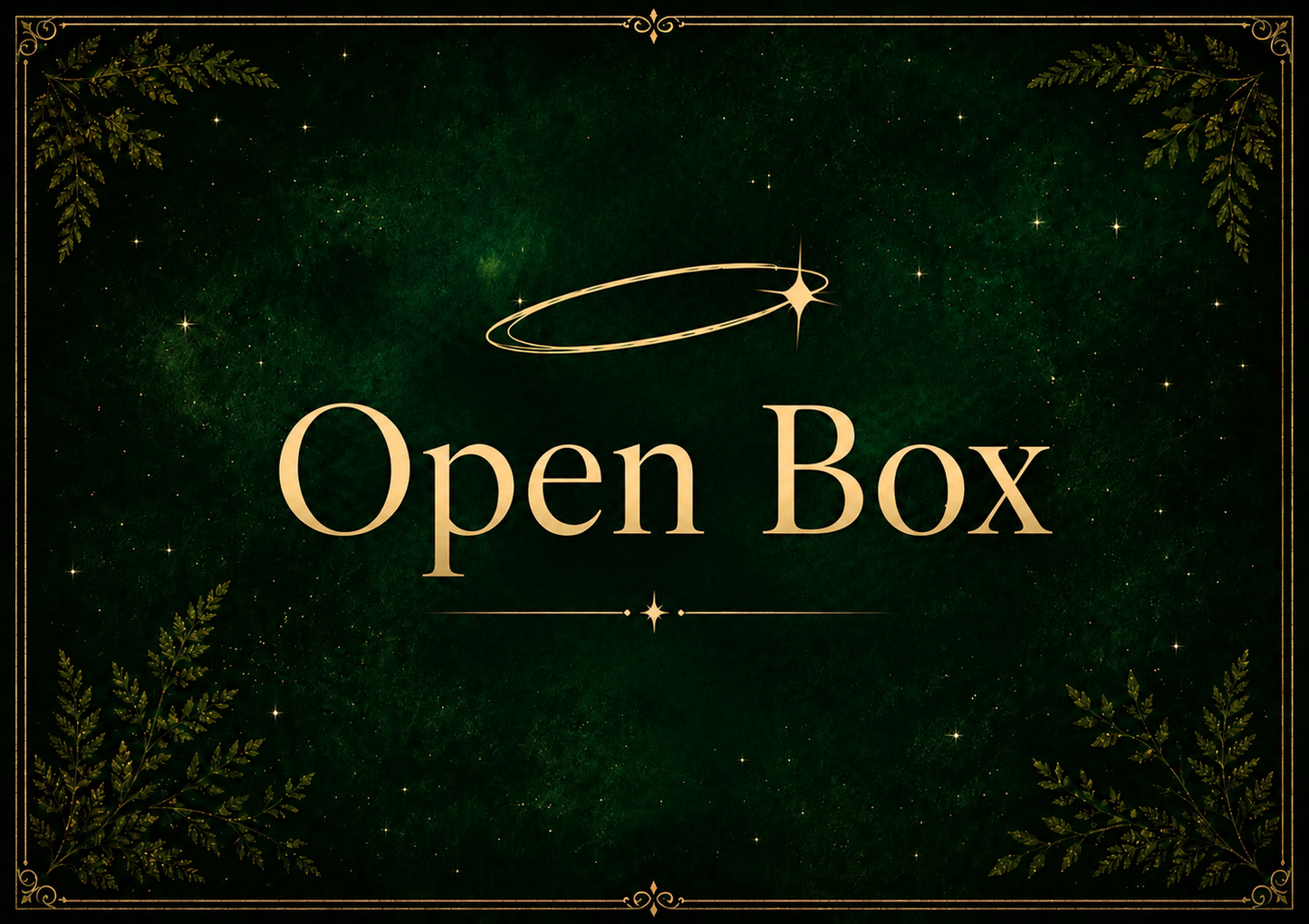 Open Box Payments