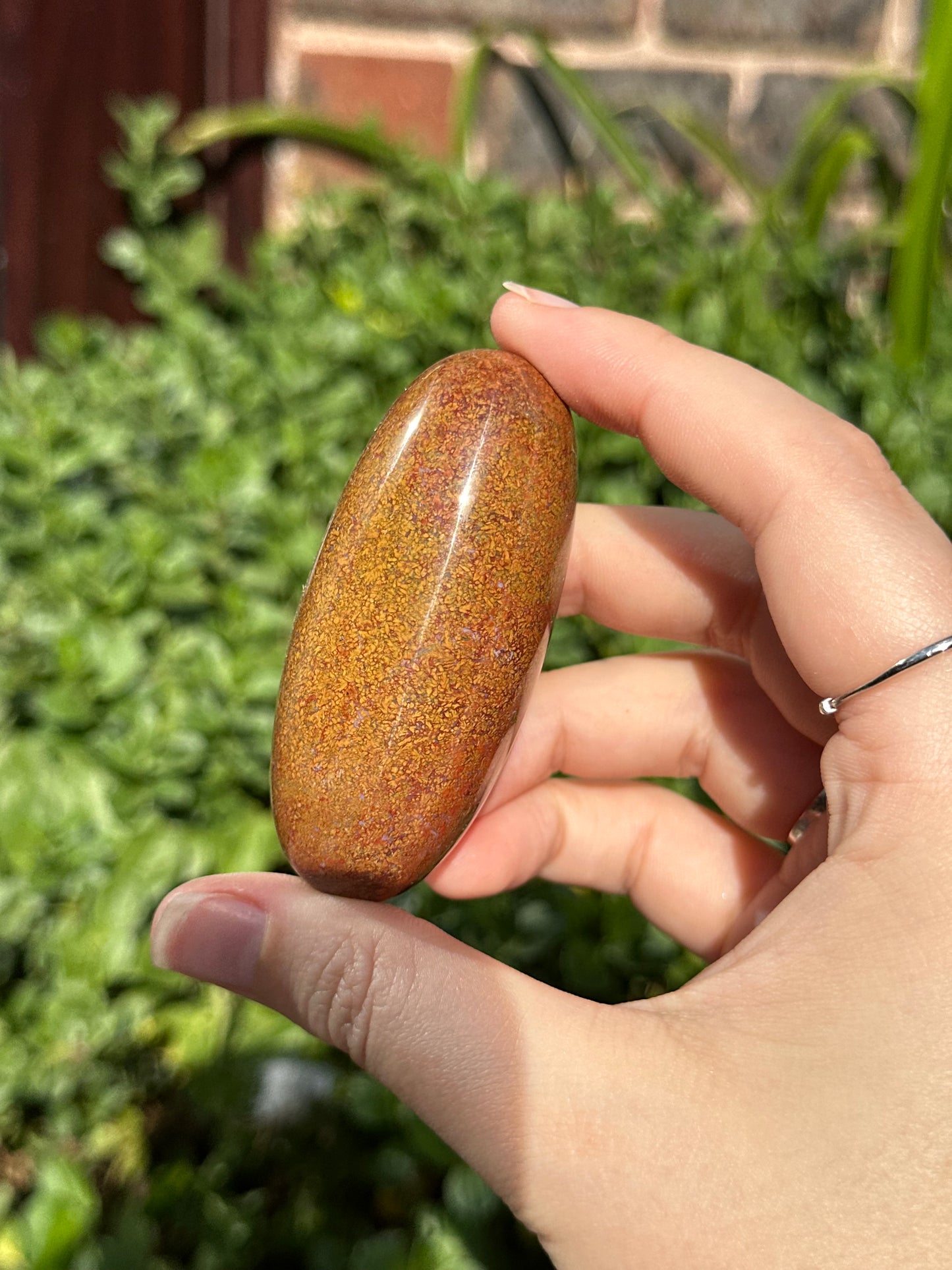 Red Moss Agate Shiva