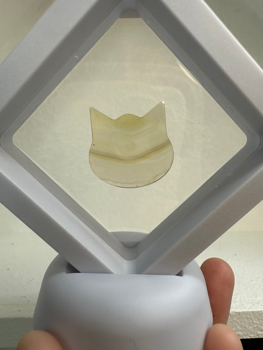 Iris Agate Cat Heads