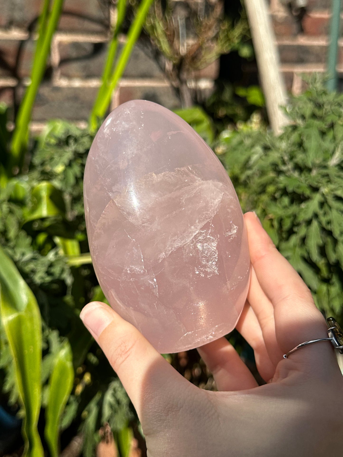 Star Rose Quartz Freeform