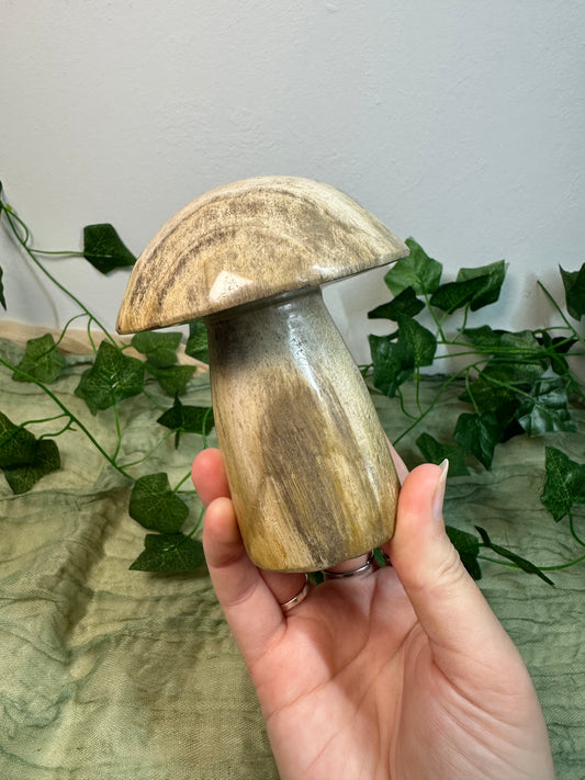 Petrified Wood Mushroom