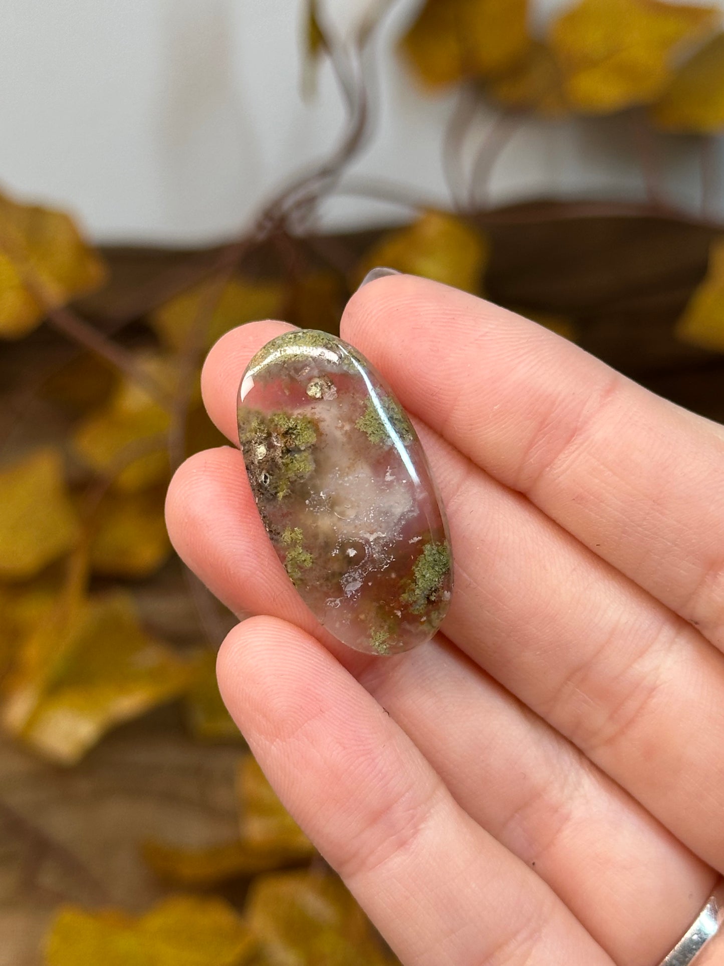 Scenic Moss Agate Cabochons