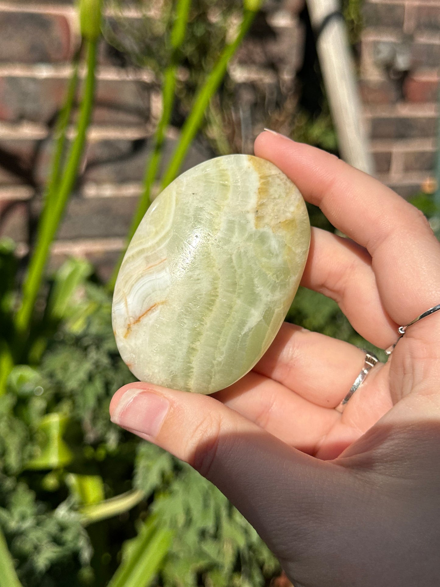 Pistachio Calcite Palmstones