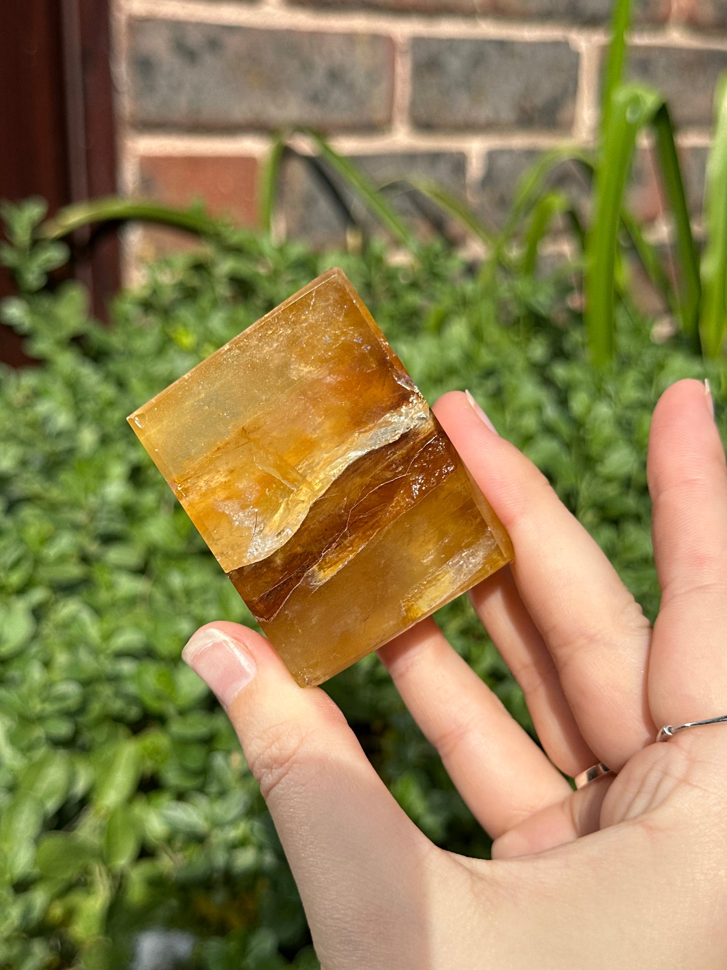 Golden Healer Freeform