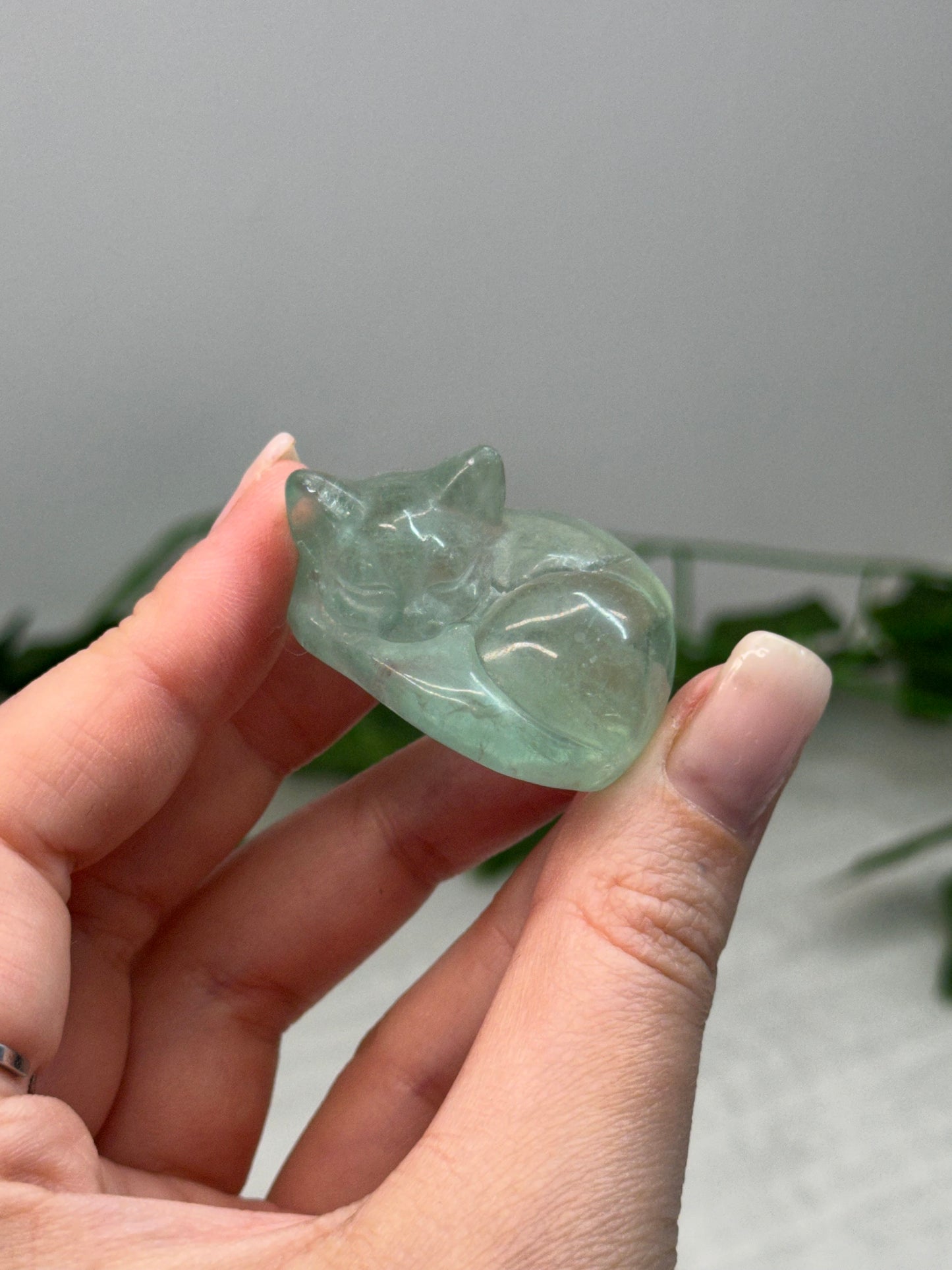 Fluorite Sleeping Cat