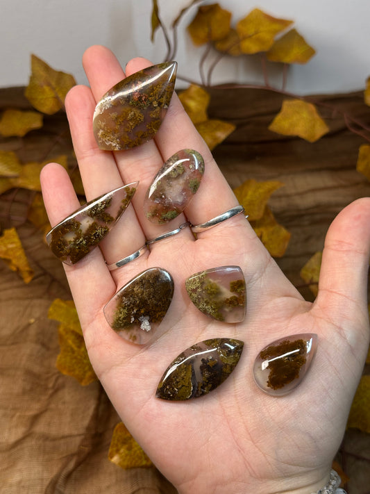 Scenic Moss Agate Cabochons