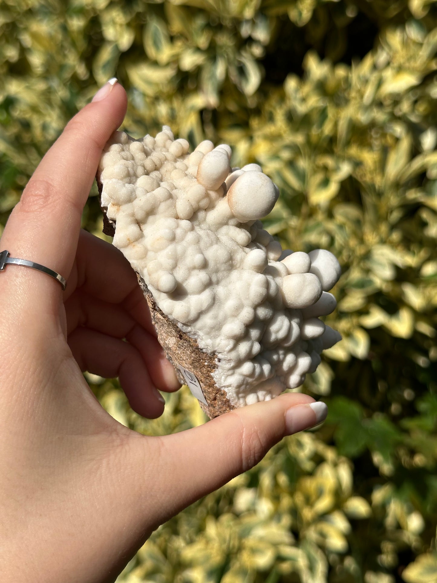 Cave Aragonite Specimen