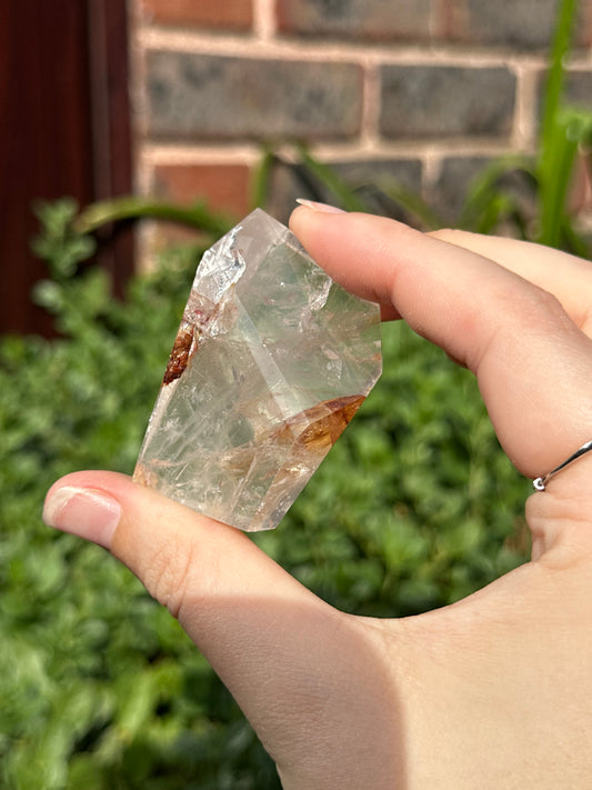 Golden Healer Freeform