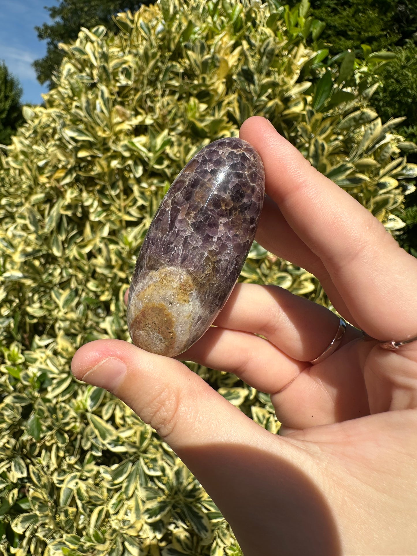 Amethyst Shivas
