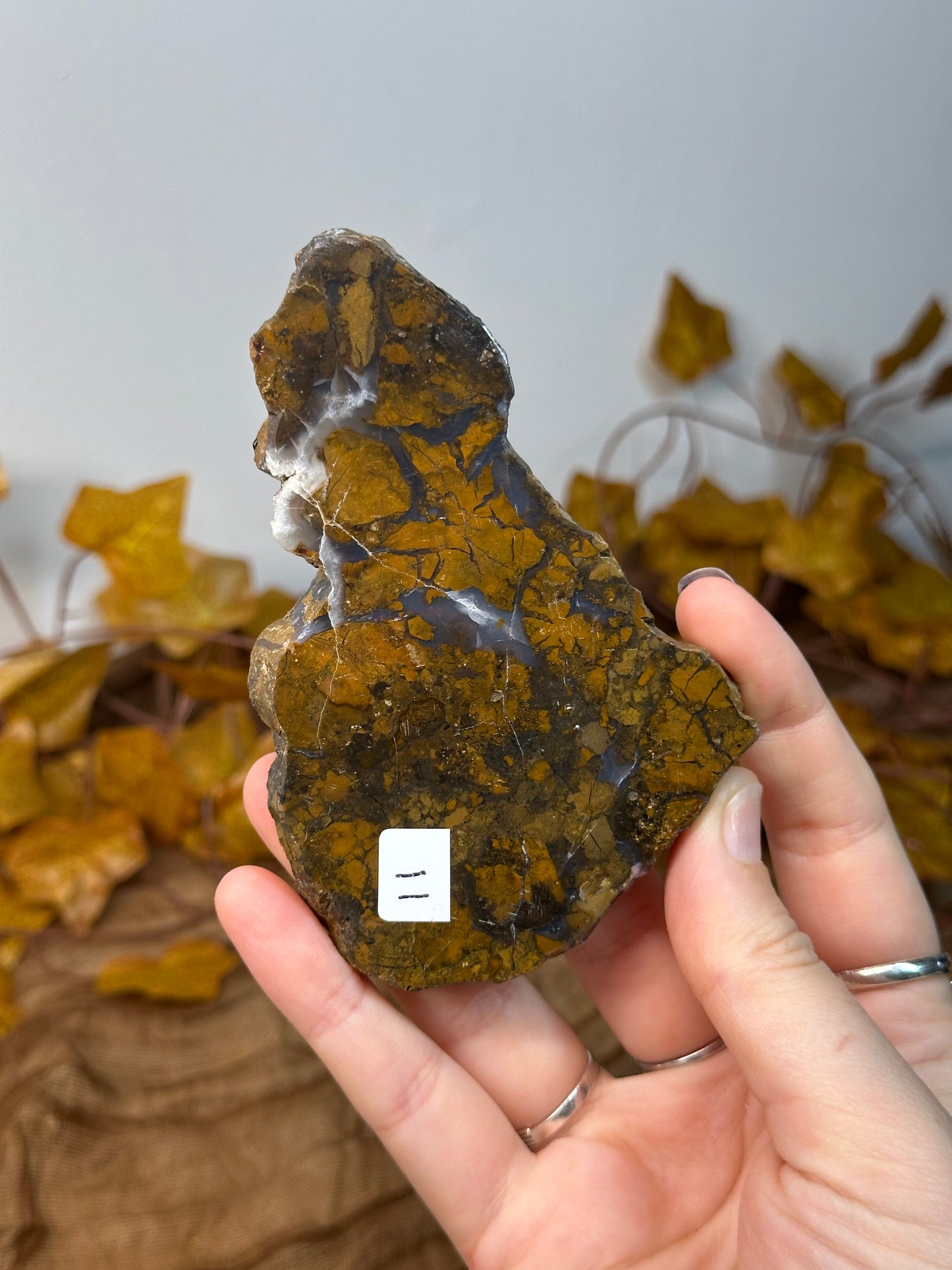 Brecciated Jasper Slab