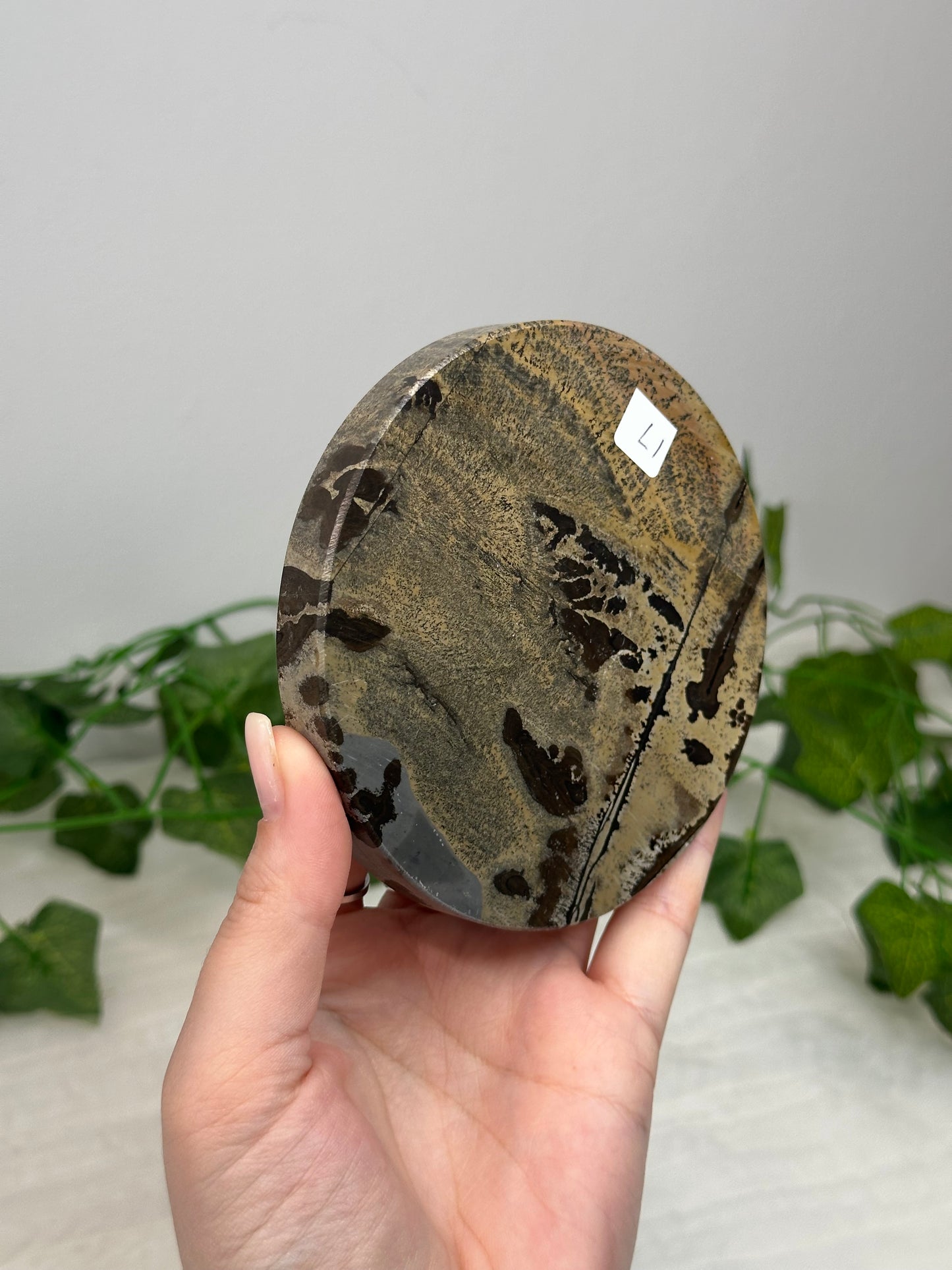 Picture Jasper Coaster