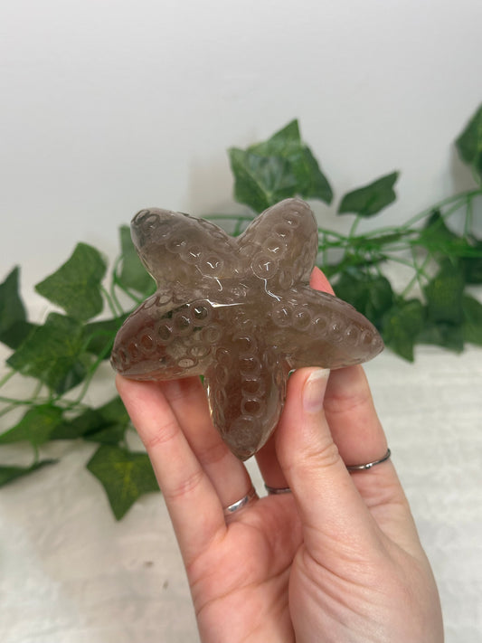 Smoky Quartz Starfish