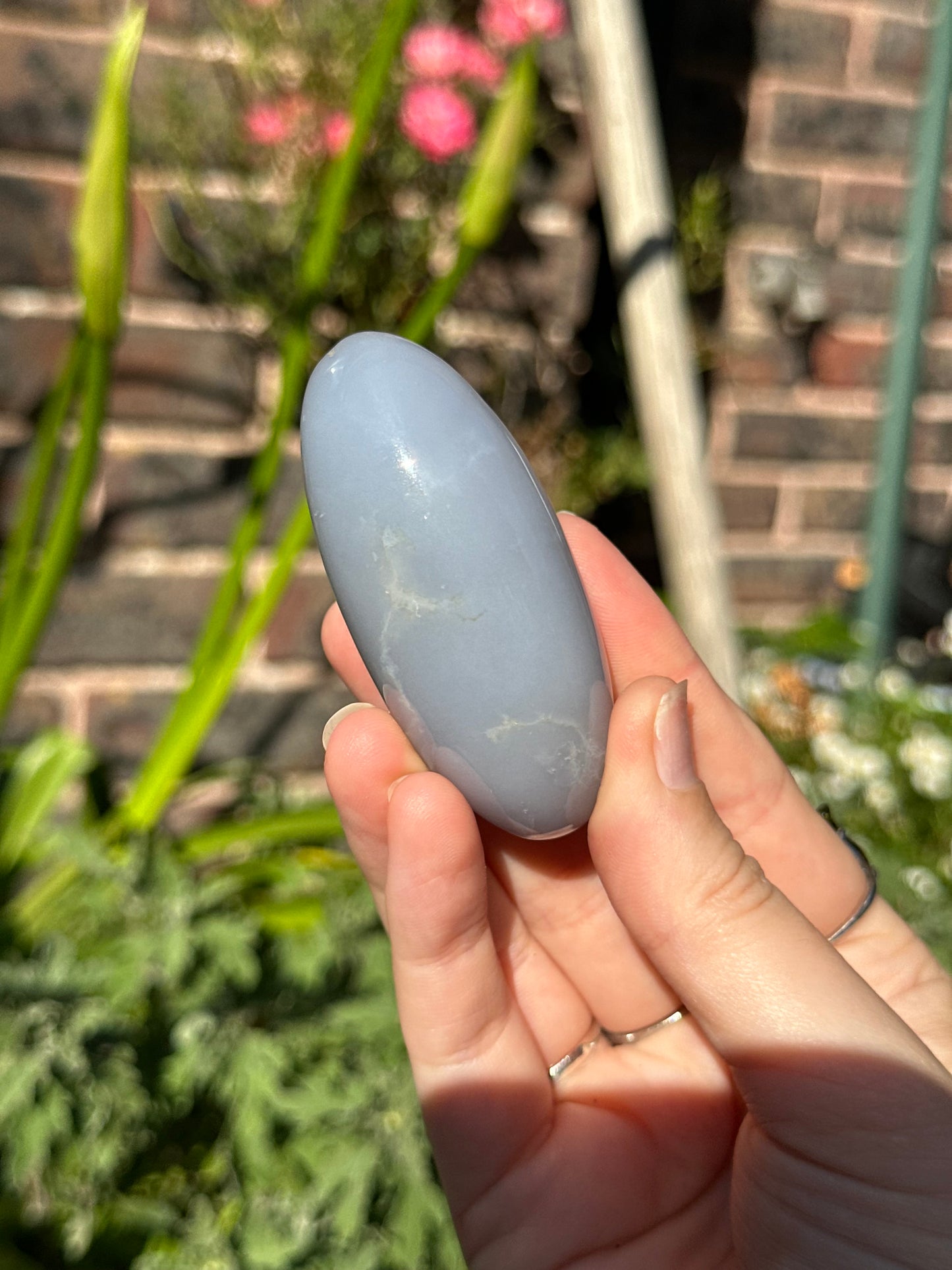 Blue Chalcedony Shivas