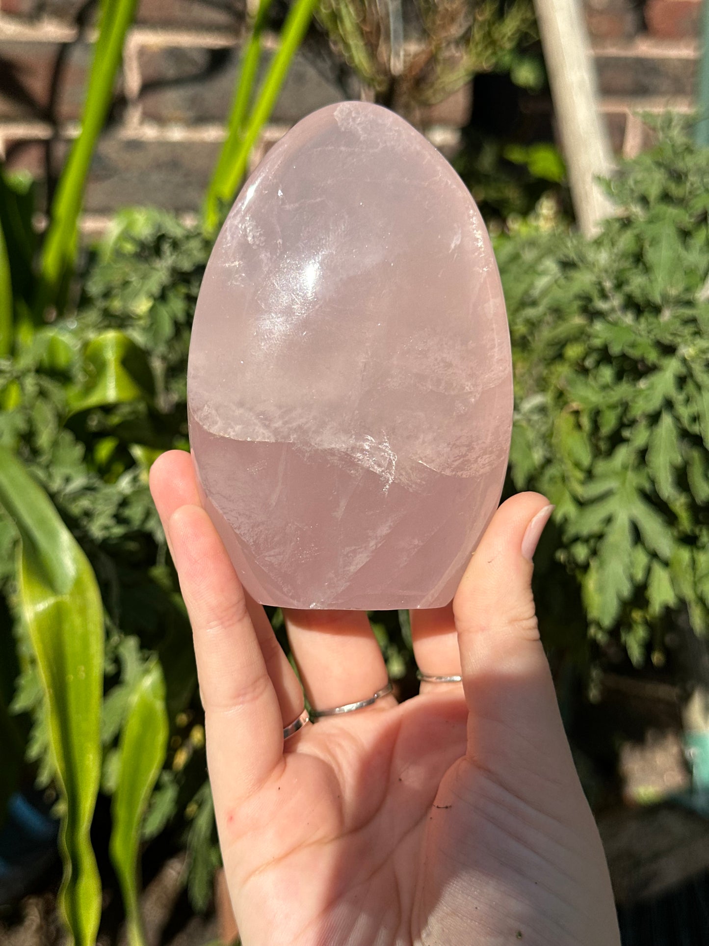 Star Rose Quartz Freeform