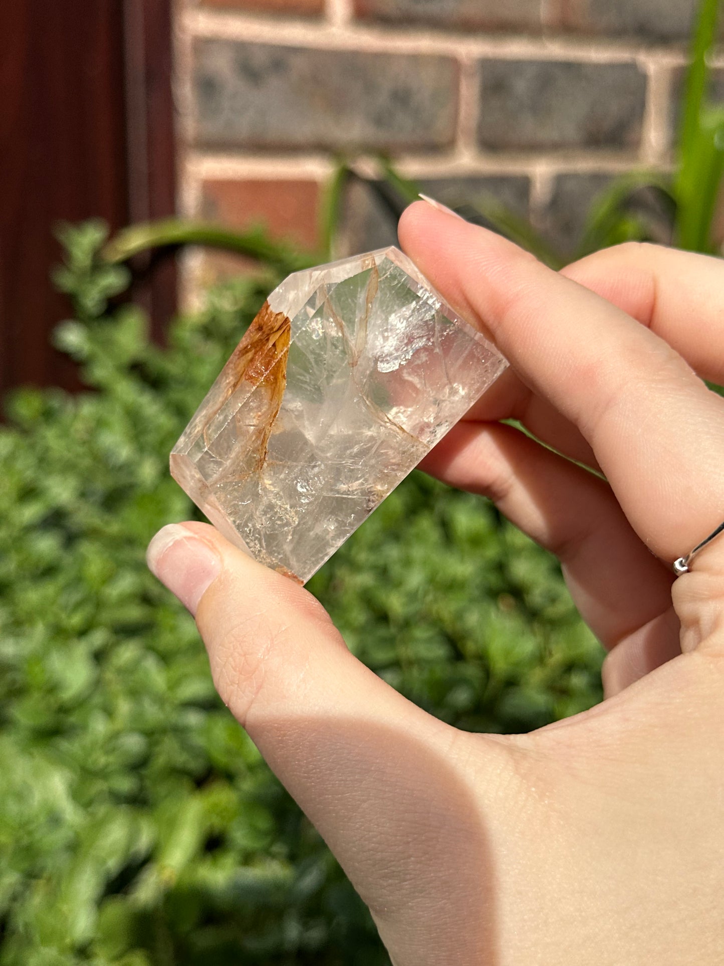 Golden Healer Freeform