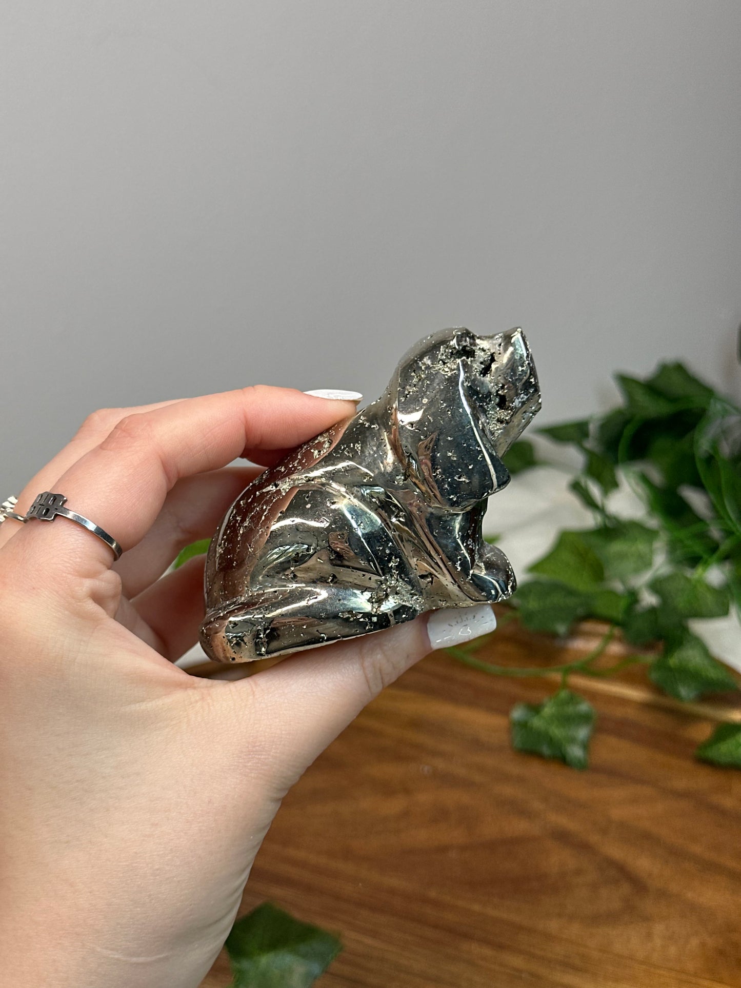 Laying Peruvian Pyrite Dog