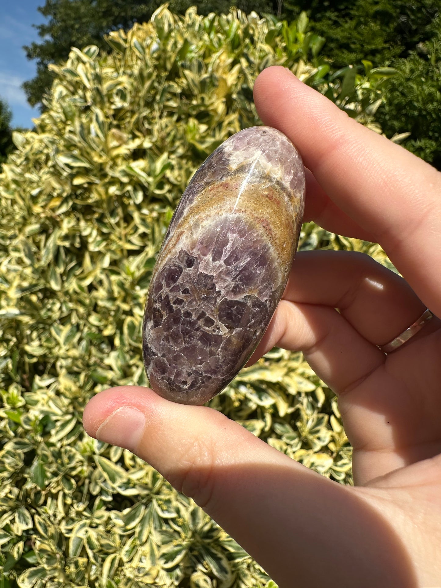 Amethyst Shivas