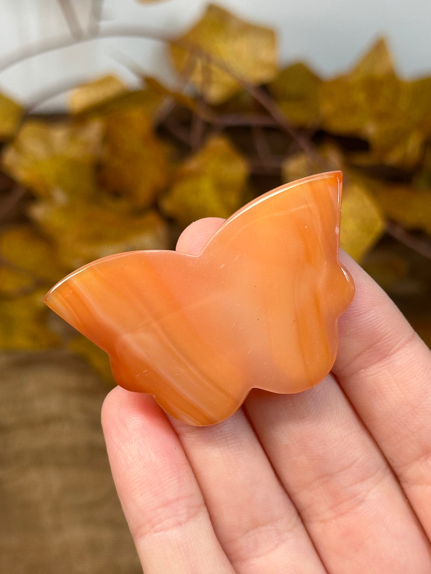 Carnelian Butterfly