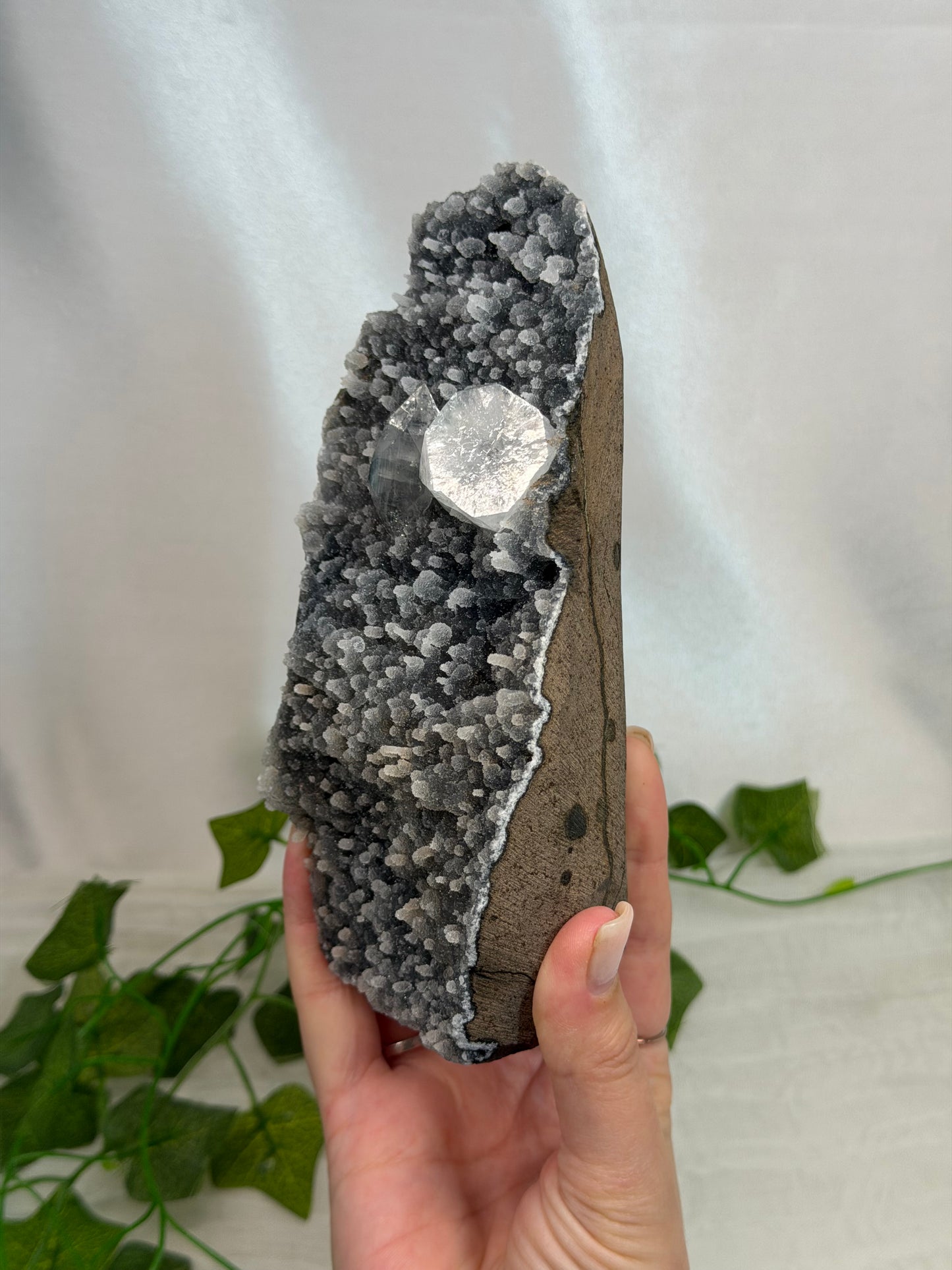 Apophyllite on Black Chalcedony Cutbase