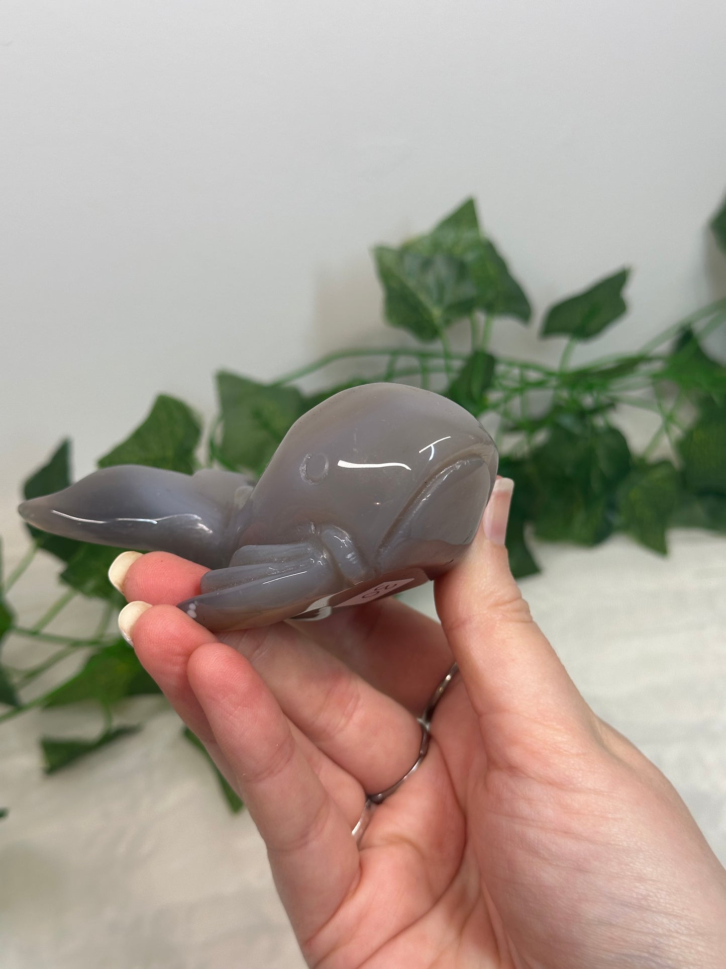 Druzy Agate Whale