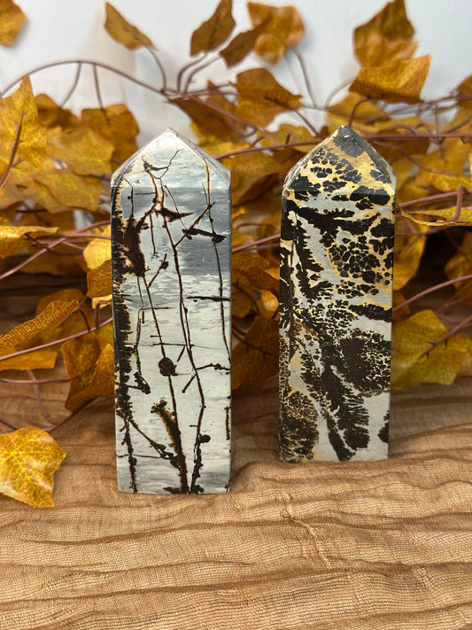 Picture Jasper Towers