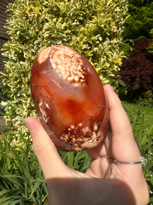 Carnelian Freeform A